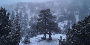 Bazı okullar tatil edildi