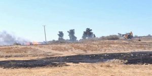 Örnek duyarlılık, sorumlu davranış