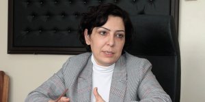 "Kamu çok eleştiriliyor ama yaşadığımız sadece kamu rehaveti değil"