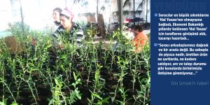 Piyasada ‘Hal Yasası’ beklentisi