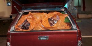 Kaçak ette korkunç tablo:  Bir yılda 9 ton