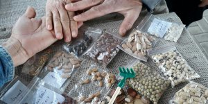 “Tohum Takas”  etkinlikleri düzenleniyor