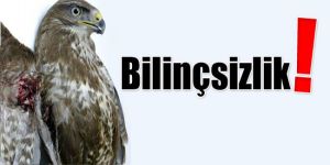 Yasak, ama vuruldular!