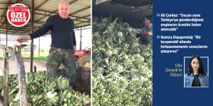 YENİDÜZEN, Mormenekşe’de enginar üreticileri ile görüştü