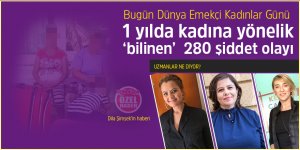 1 yılda kadına yönelik ‘bilinen’  280 şiddet olayı