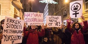 Feminist Mücadeleye Yeni Perspektifler Arayışı: Vegan Ekofeminist Bir Pencereden Bakmak
