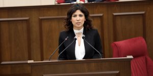 “Doğurganlık hakkı devlet güvencesi altına alınmalı”