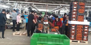 Kayıt dışı işçi için rekor ceza