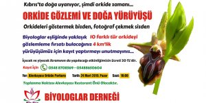 Orkide gözlemi ve doğa yürüyüşü