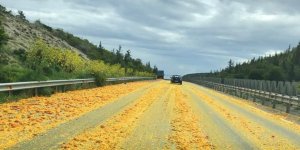 Kamyondan dökülen portakallar yol kapattı