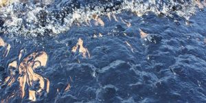 Teknecikten denize petrol sızdı