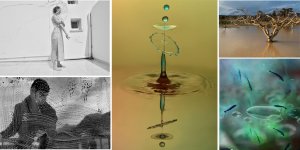 Online fotoğraf sergisi