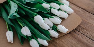 Sevgiliye Doğum Gününde Hangi Çiçek Alınır? (Öneriler)