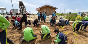 Mehmetçik'te fideler toprakla buluşturuldu.