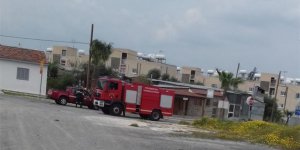 Evi boşaltmamak için dama çıktı