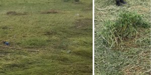 Hasar tespit çalışmaları başladı