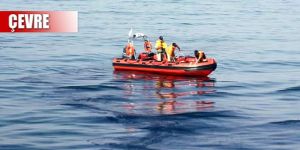 Bu kez ucuz atlattık