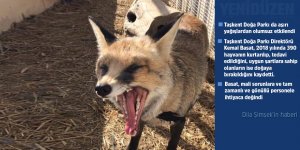 Taşkent Doğa Parkı da aşırı yağışlardan olumsuz etkilendi