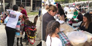 Şölen gibi festival