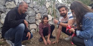 Üniversite öğrencileri fidan dikti
