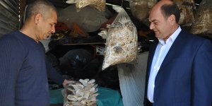 Sönmez’in hobisi girişime dönüştü…