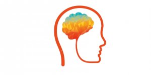 Cehalet Değil Ama Cehaletin Cehaleti Bilginin Ölümüdür