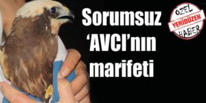 Sorumsuz avcılar iş başında!