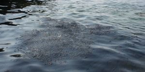 TEKNECİK’TE PETROL SIZINTISI