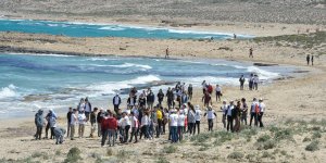 Ronnas Sahili temizlendi