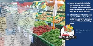 Asma yaprağı kuzeyde 47 TL, güneyde 97 TL