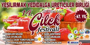 Çilek festivali başlıyor