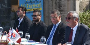 Kıbrıs İpek Kozası Festivali başlıyor