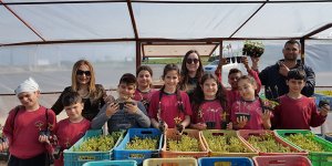 Nitovikla’da ekoloji ve kültür eğitimi