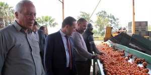 Şahali: Narenciyede dönüştürücü adımları atmak temel vazifemiz