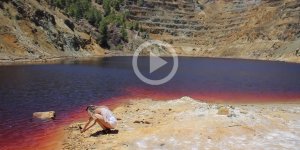 “Burası çok kötü kokuyor, çok iğrenç bir şey. Sanki ölü bir şey gibi kokuyor.”