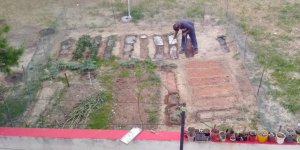 Yeşil alana bostan ekti