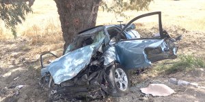 Tekedoğan hayata tutunamadı