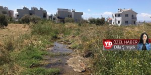 Haspolat’ın derdi saymakla bitmiyor