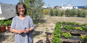 Bir annenin başarı serüveni…