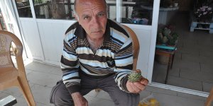 “Doğada her mevsim bir şeyler buluyorum”