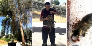 Boncuk’u itfaiye kurtardı