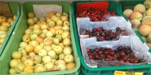 Yaz meyveleri reyonlarda