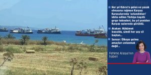 Her yıl geliyorlar…  ‘Avlanıyorlar mı?’