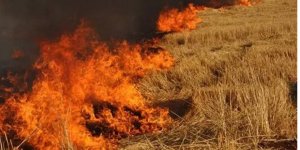 Otları yakmak isterken kendi yandı