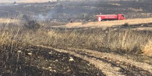 Haspolat’taki yangında ağaçlar kül oldu