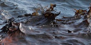 Limasol sahilinde petrol kirliliği