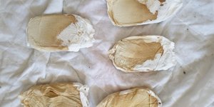 Ötüken'de uyuşturucu, 2 tutuklu