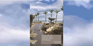 Yolsuzluk Algısı 2018