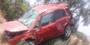 Ağaca çarparak durabildi