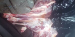 Kermiya'da kaçak et